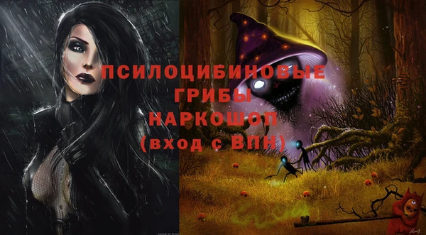 дурь Няндома