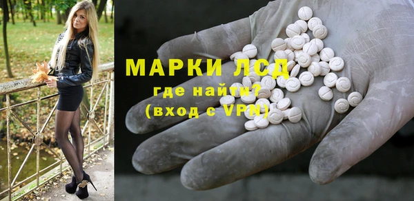дурь Няндома