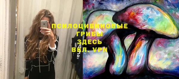 скорость mdpv Нязепетровск