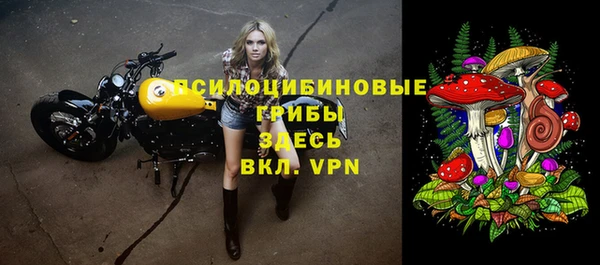 индика Новокубанск