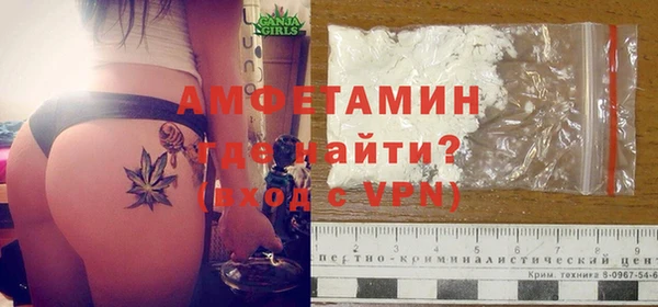 дурь Няндома