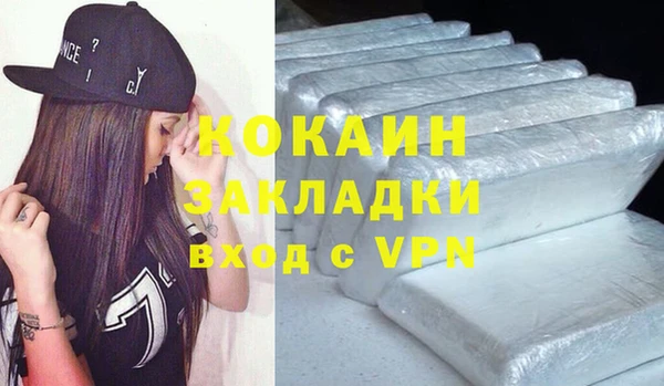 дурь Няндома