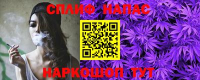 индика Беслан