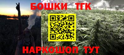 индика Беслан