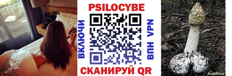 как найти закладки  Кингисепп  Галлюциногенные грибы мухоморы 