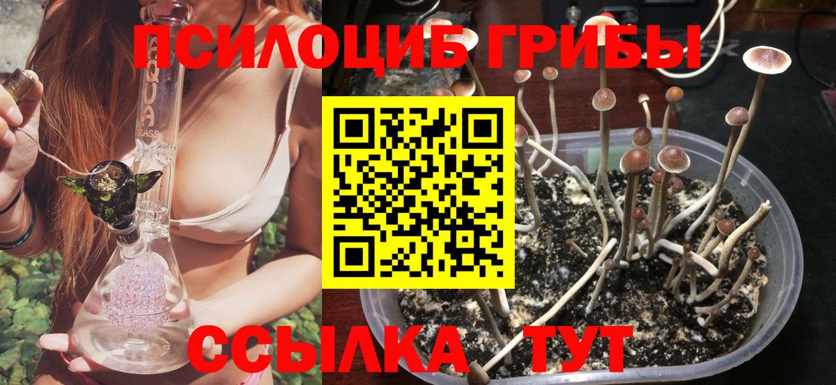 Псилоцибиновые грибы Magic Shrooms  Вход с VPN  Кингисепп 