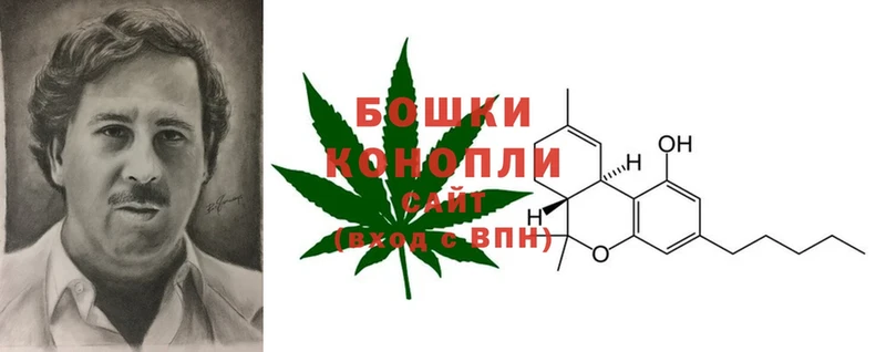 Каннабис OG Kush  где купить наркоту  Кингисепп 